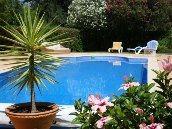 Cost of Pool Terrace Renovation in Santa Ana